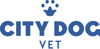 Blue logo containing text "City Dog Vet" with a paw crown on top